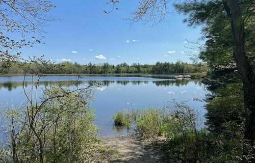 A serene lake surrounded by trees and greenery, with a clear blue sky and fluffy clouds reflected in the water.