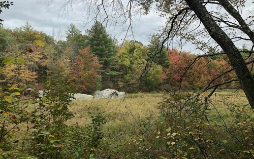 A serene landscape featuring a grassy field surrounded by colorful autumn trees under a cloudy sky.