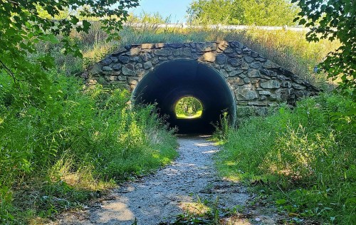 A stone tunnel surrounded by greenery, leading to a path illuminated by sunlight.