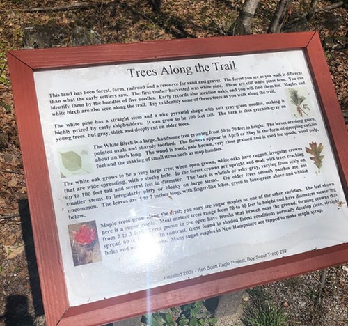 Sign titled "Trees Along the Trail" describing local tree species and their characteristics, surrounded by nature.