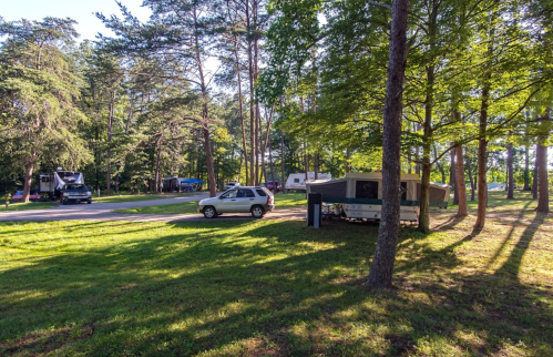 A campsite with a pop-up camper and an SUV, surrounded by tall trees and grassy areas.