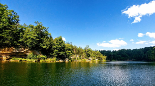 A serene lake surrounded by lush green trees under a clear blue sky with a few clouds.
