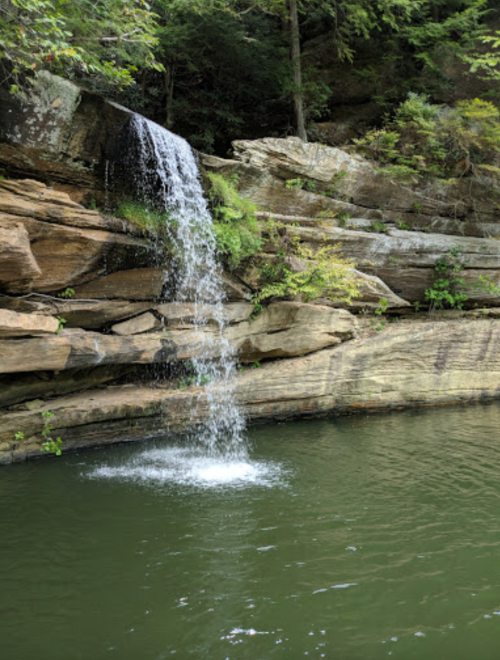 A serene waterfall cascading over rocky cliffs into a calm green pool surrounded by lush vegetation.