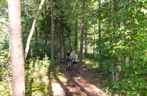 Two people on a bike path surrounded by tall trees and lush greenery in a forested area.