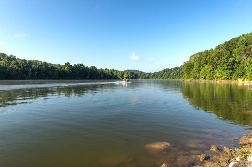 A calm river scene with lush green trees lining the banks and a boat gently gliding across the water.