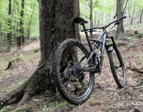 A mountain bike leaning against a tree in a forested area with green foliage and rocky ground.