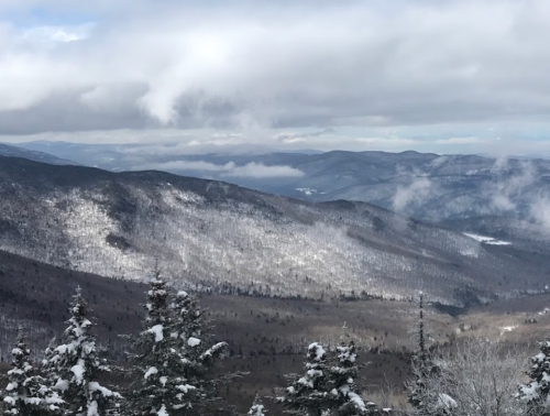 Snow-covered mountains under a cloudy sky, with trees in the foreground and mist rising in the valleys.