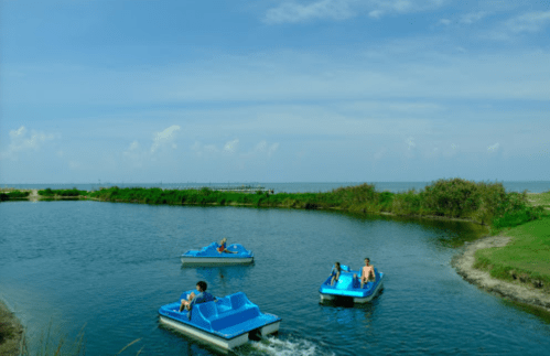 Four people enjoy paddle boating on a calm waterway with lush greenery and a blue sky in the background.