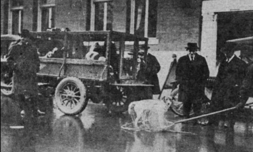 A vintage black-and-white photo of a dog on a leash near a group of men and an early automobile.