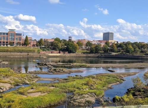 A scenic view of a riverbank with rocky areas, greenery, and a city skyline under a blue sky with fluffy clouds.