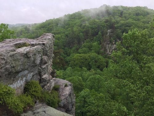 A rocky outcrop overlooks a lush green forest with mist rising from the hills in the background.