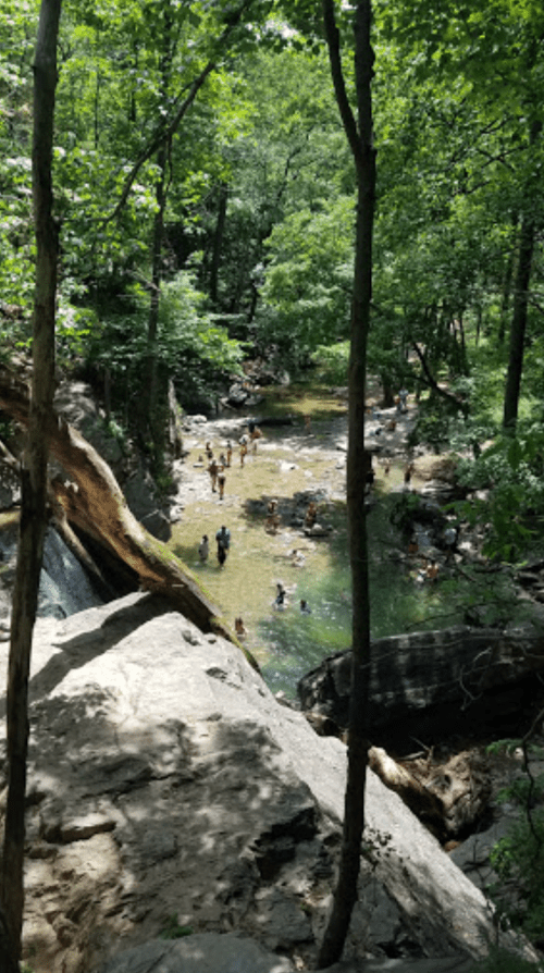 A serene forest scene with a creek, people swimming, and large rocks surrounded by lush greenery.