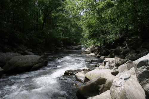 A serene river flows through a lush green forest, surrounded by large rocks and gentle waves.