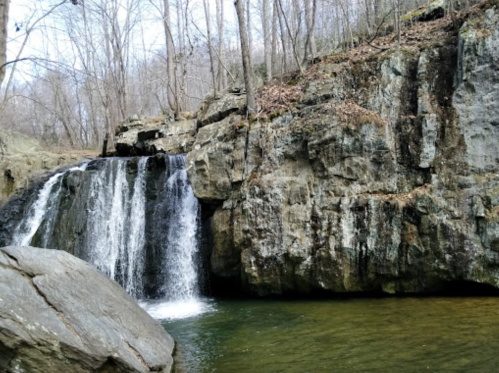 A serene waterfall cascading over rocks into a calm pool, surrounded by trees and bare branches.