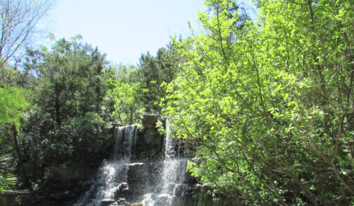 A serene waterfall cascades down rocks, surrounded by lush green trees and bright blue sky.