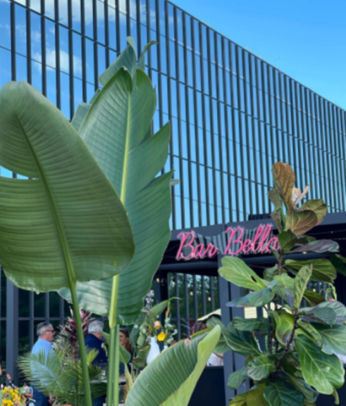 A vibrant outdoor bar scene with large green leaves in the foreground and a modern building in the background.