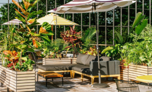 A cozy outdoor seating area with a sectional sofa, colorful umbrellas, and lush tropical plants.