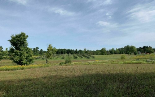 A serene landscape featuring rolling green hills, scattered trees, and a clear blue sky.