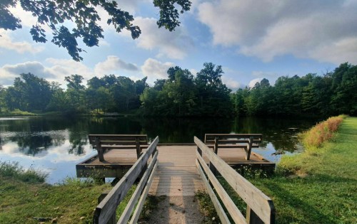 A serene wooden dock extends over a calm lake, surrounded by lush greenery and a cloudy blue sky.