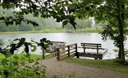 A serene lake view with a wooden dock and benches, surrounded by lush greenery and trees.