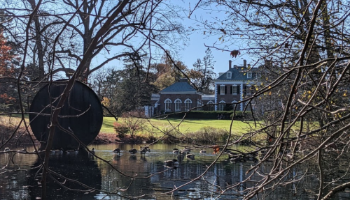 A serene pond with ducks, framed by trees, and a large circular object, with a grand house in the background.