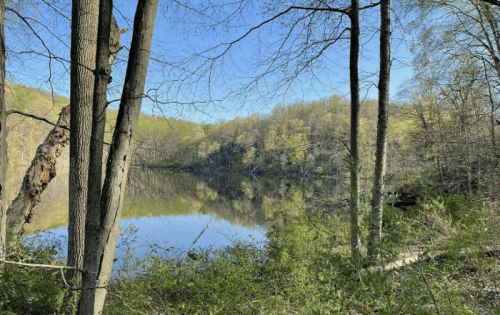 A serene lake surrounded by trees and greenery, reflecting the clear blue sky and distant hills.