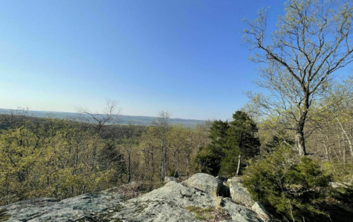A panoramic view of a forested landscape with rocky outcrops under a clear blue sky.