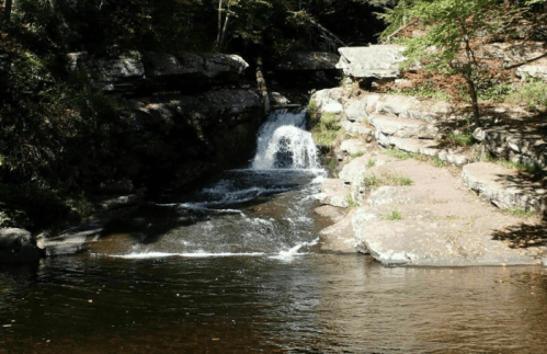 A serene waterfall cascades over rocky ledges into a calm pool, surrounded by lush greenery and trees.