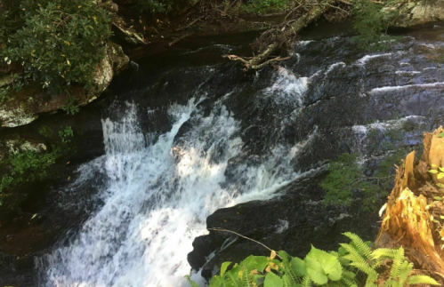A cascading waterfall flows over dark rocks, surrounded by lush greenery and ferns.