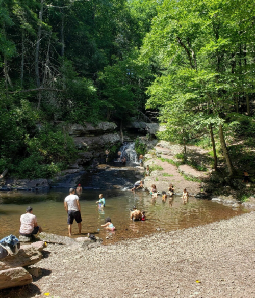 A serene forest scene with people swimming and playing in a natural pool near a small waterfall.