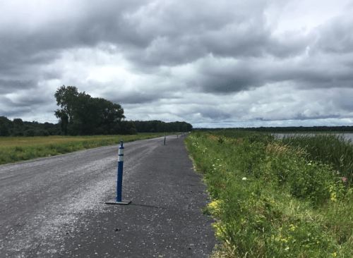 A gravel road lined with blue traffic cones, flanked by greenery and a river under a cloudy sky.
