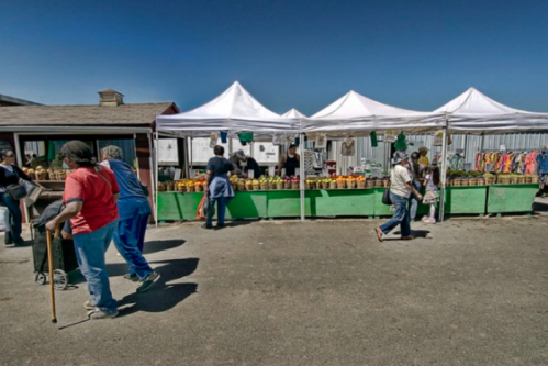 A bustling outdoor market with white tents, vendors, and shoppers browsing colorful goods on a sunny day.
