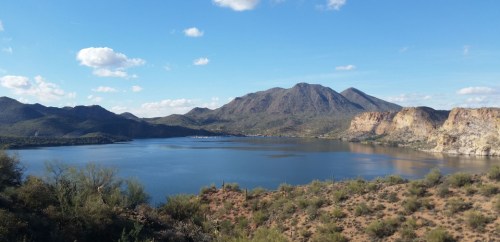 A scenic view of a lake surrounded by mountains and desert vegetation under a clear blue sky.