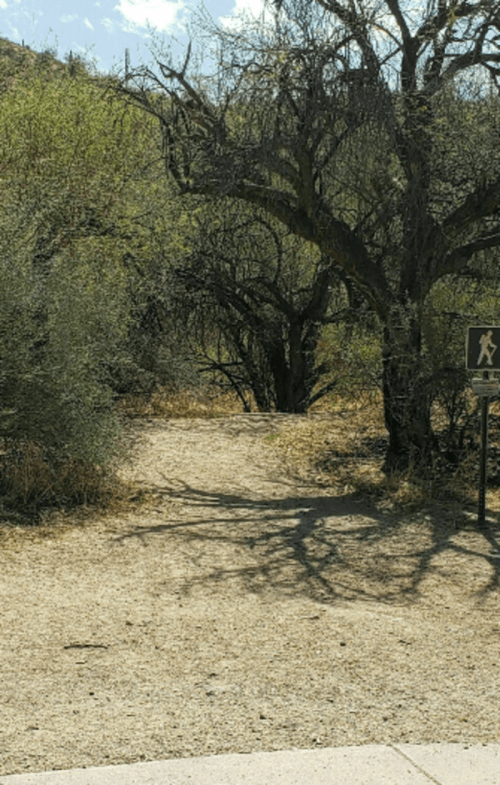A dirt path leads into a wooded area with sparse vegetation and a hiker sign nearby. Shadows from trees are visible.