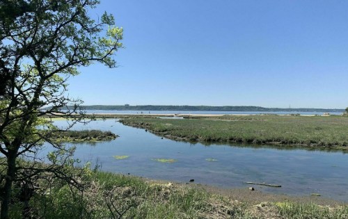 A serene landscape featuring a calm river, lush greenery, and a clear blue sky in the background.