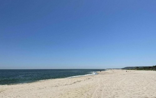 A serene beach scene with a clear blue sky, gentle waves, and a sandy shoreline stretching into the distance.