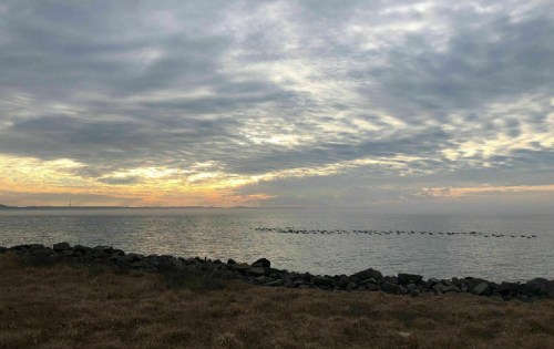 A serene seascape at sunset, with clouds reflecting colors over calm waters and a line of birds in the distance.