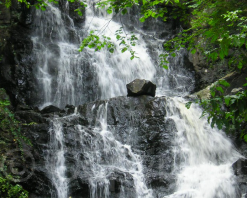 A cascading waterfall flows over dark rocks, surrounded by lush green foliage.