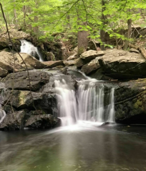 A serene waterfall cascades over rocks into a calm pool, surrounded by lush green trees.