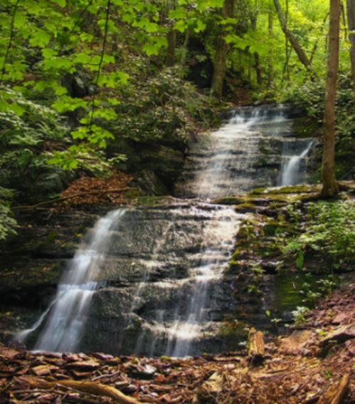 A serene waterfall cascading over rocks, surrounded by lush green trees and foliage in a tranquil forest setting.