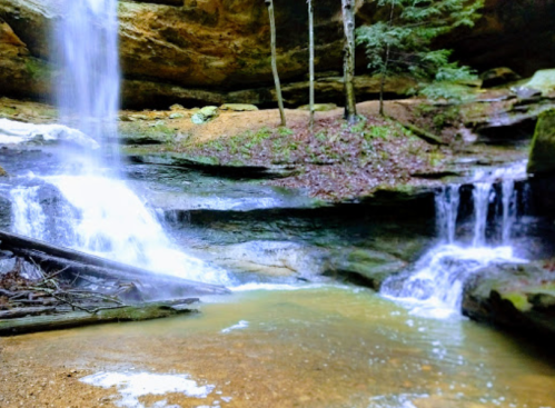 A serene waterfall cascading over rocks into a calm pool, surrounded by lush greenery and trees.
