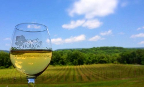 A glass of white wine in the foreground with a scenic vineyard and blue sky in the background.