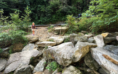 A person stands on rocky terrain surrounded by greenery, with a road and trees in the background.
