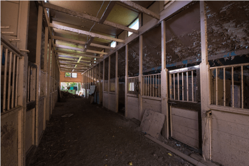 Abandoned barn interior with empty stalls, peeling paint, and dim lighting, creating a desolate atmosphere.