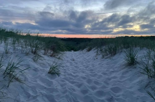 A sandy path through grass-covered dunes, leading to a colorful sunset sky with clouds.