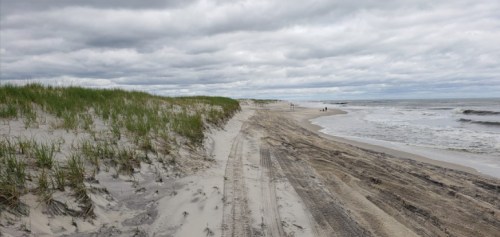 A sandy beach with grassy dunes under a cloudy sky, featuring gentle waves and a few people in the distance.