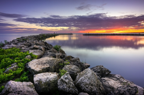 A serene sunset over calm waters, with a rocky jetty extending into the horizon and lush greenery in the foreground.