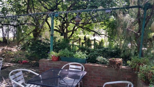 A serene garden scene with a table, chairs, and lush greenery, featuring string lights and a pink flamingo decoration.