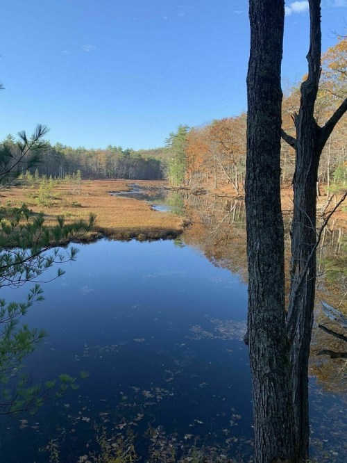 A serene landscape featuring a calm river reflecting trees and autumn foliage under a clear blue sky.