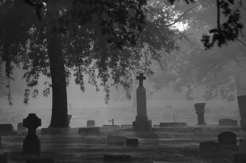 A misty cemetery scene with gravestones and a large tree, creating a somber and tranquil atmosphere.